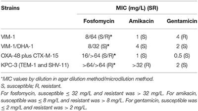 Efficacy of Fosfomycin and Its Combination With Aminoglycosides in an Experimental Sepsis Model by <mark class="highlighted">Carbapenemase-Producing Klebsiella</mark> pneumoniae Clinical Strains